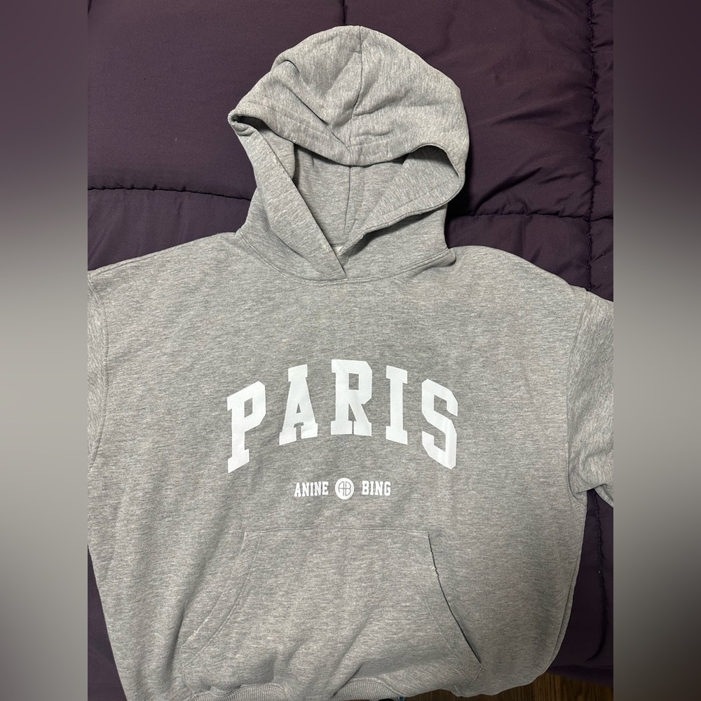 Small Anine Bing Paris Hoodie